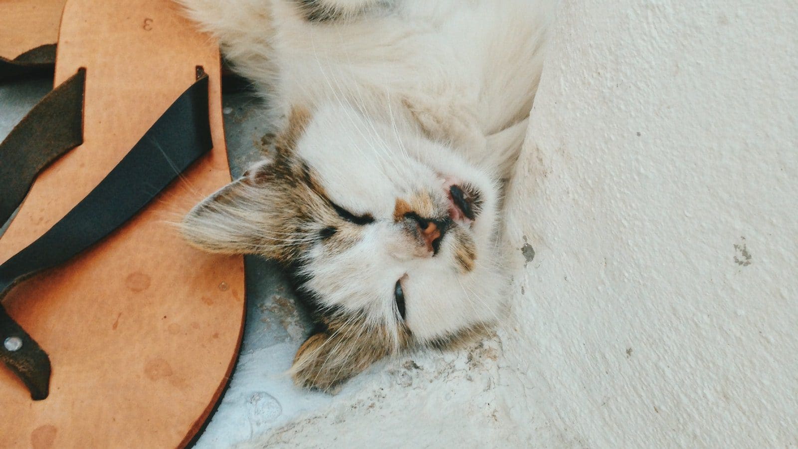 How To Get The Sleep Number First Responder Discount