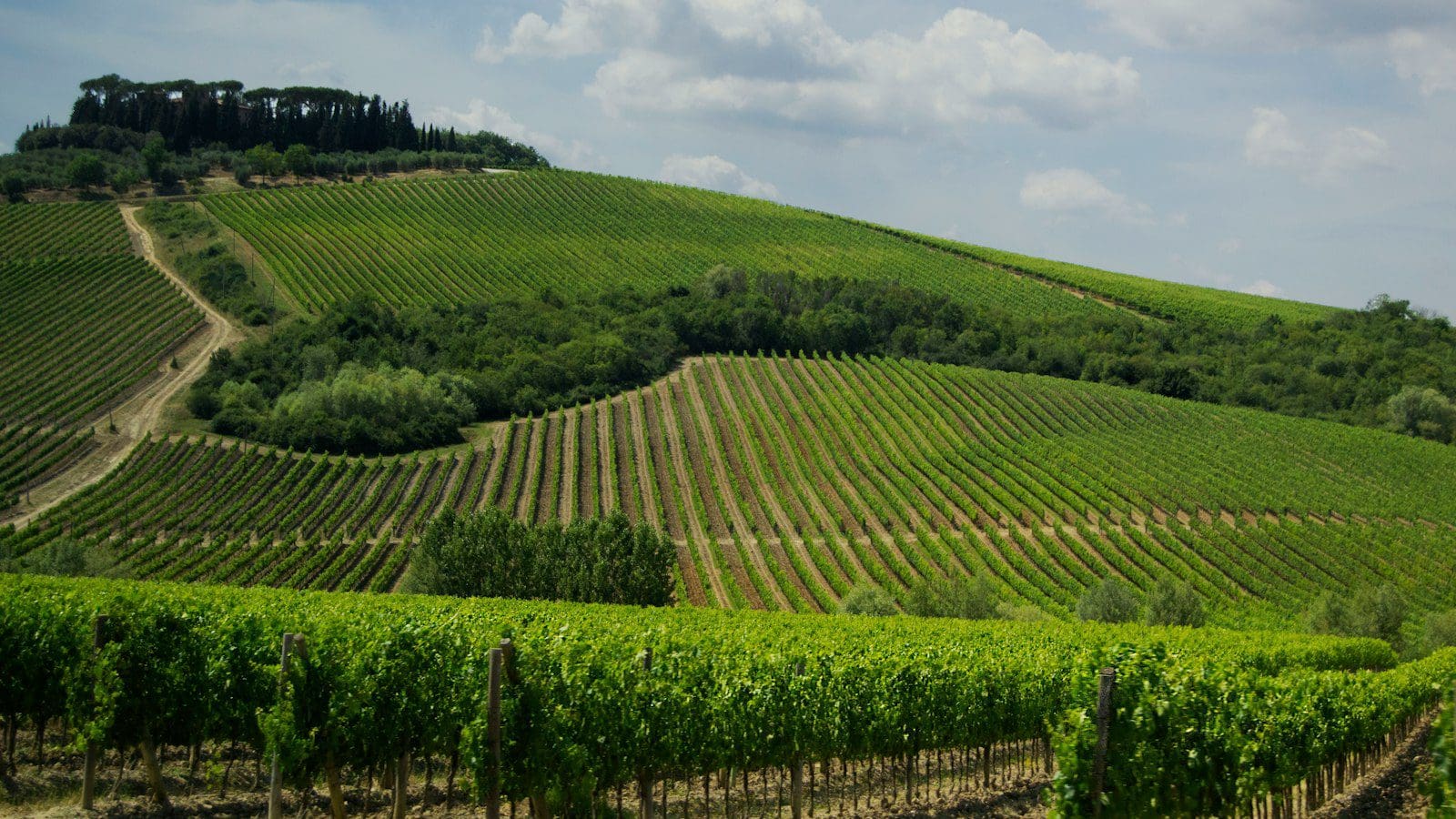 How To Get The Vineyard Vines First Responder Discount